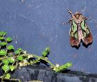Green mottled moth at nursery